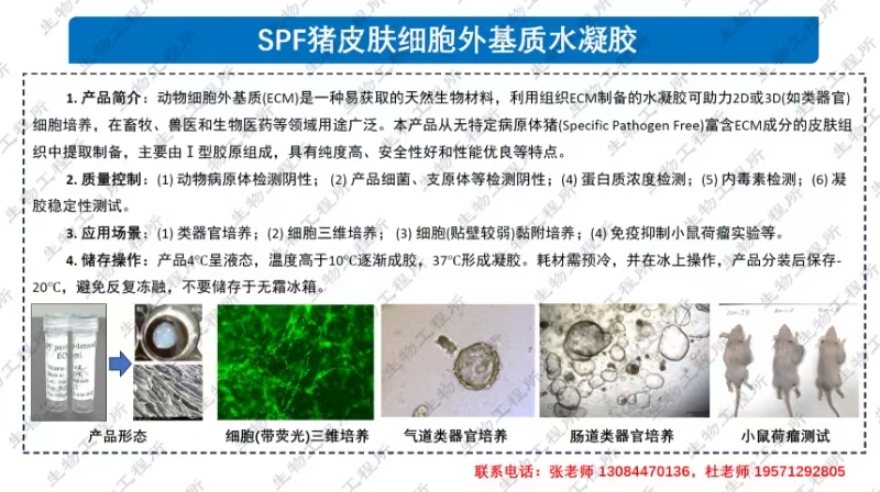微信图片_20250709135945.jpg